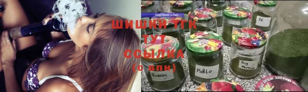 твердый Инсар
