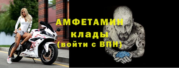 твердый Инсар