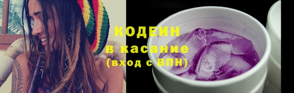 твердый Инсар