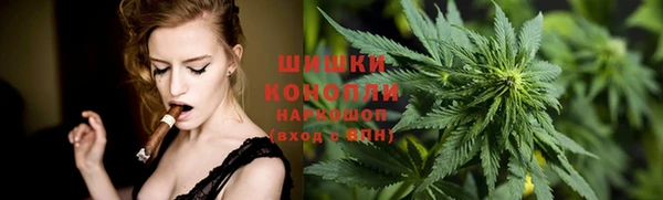 твердый Инсар