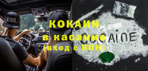 твердый Инсар