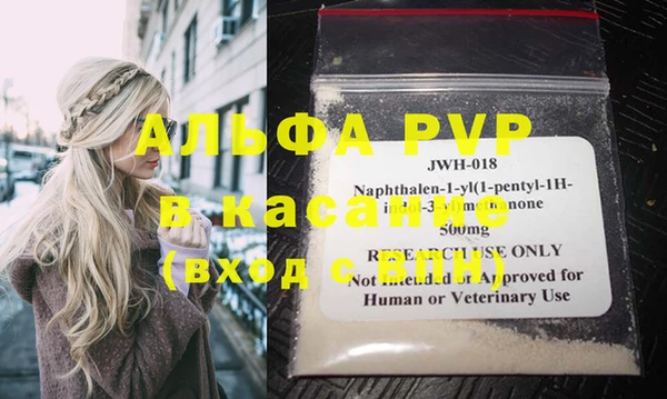 твердый Инсар