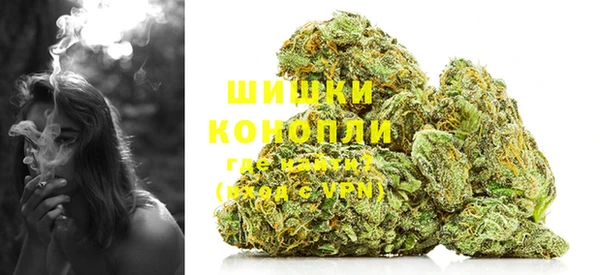 твердый Инсар