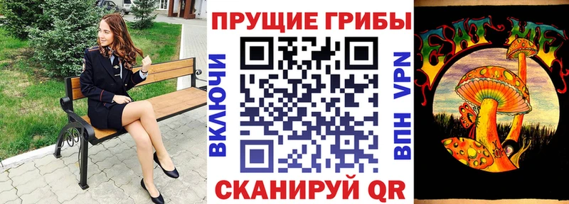 Купить  Нижний Ломов  Галлюциногенные грибы Cubensis 